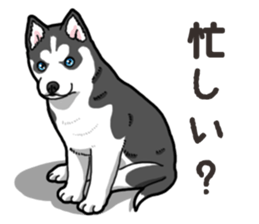 Wanko-Biyori Puppy of Siberian husky 2 sticker #13771967