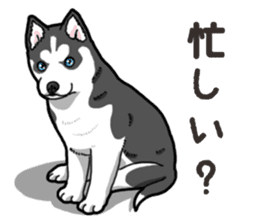 Wanko-Biyori Puppy of Siberian husky 2 sticker #13771967