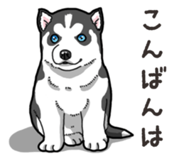 Wanko-Biyori Puppy of Siberian husky 2 sticker #13771968