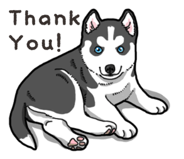 Wanko-Biyori Puppy of Siberian husky 2 sticker #13771970