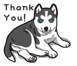 Wanko-Biyori Puppy of Siberian husky 2 sticker #13771970