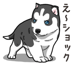 Wanko-Biyori Puppy of Siberian husky 2 sticker #13771971