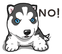 Wanko-Biyori Puppy of Siberian husky 2 sticker #13771972