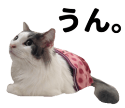 Ruri photo sticker sticker #13772057