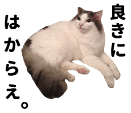 Ruri photo sticker sticker #13772060