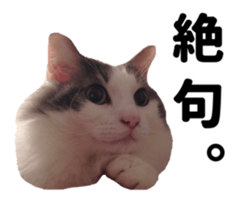 Ruri photo sticker sticker #13772064