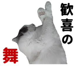 Ruri photo sticker sticker #13772065