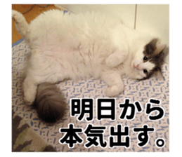 Ruri photo sticker sticker #13772066