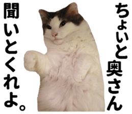 Ruri photo sticker sticker #13772067