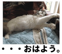 Ruri photo sticker sticker #13772071