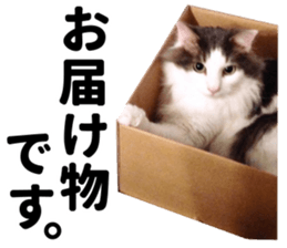 Ruri photo sticker sticker #13772075