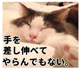 Ruri photo sticker sticker #13772076