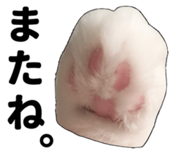 Ruri photo sticker sticker #13772077