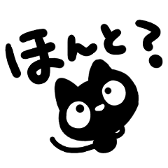 Very cute black cat.