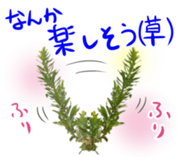 The weed sticker #13772764