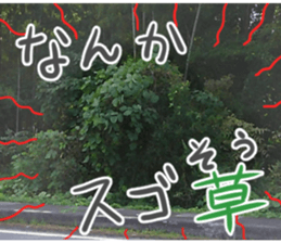 The weed sticker #13772765