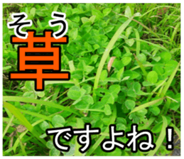 The weed sticker #13772767