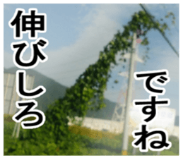 The weed sticker #13772769