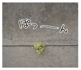 The weed sticker #13772772