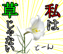 The weed sticker #13772781