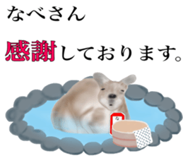 Kangaroo's Nabesan sticker #13772928