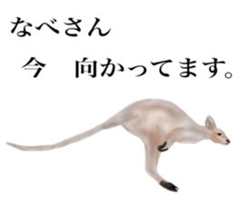 Kangaroo's Nabesan sticker #13772933