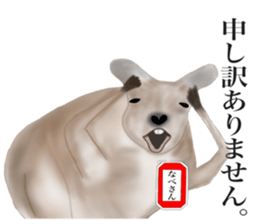 Kangaroo's Nabesan sticker #13772936