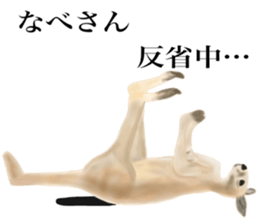Kangaroo's Nabesan sticker #13772938