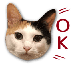 TSUKUNE the Calico Cat and Pencoro sticker #13773038