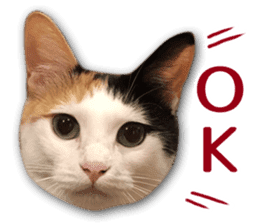 TSUKUNE the Calico Cat and Pencoro sticker #13773038