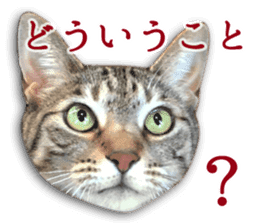 TSUKUNE the Calico Cat and Pencoro sticker #13773048