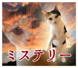 TSUKUNE the Calico Cat and Pencoro sticker #13773051