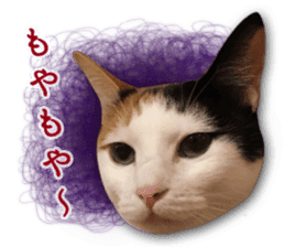 TSUKUNE the Calico Cat and Pencoro sticker #13773056