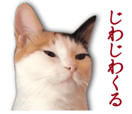 TSUKUNE the Calico Cat and Pencoro sticker #13773059