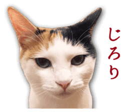 TSUKUNE the Calico Cat and Pencoro sticker #13773060