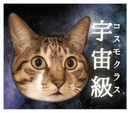 TSUKUNE the Calico Cat and Pencoro sticker #13773064