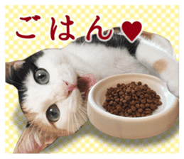 TSUKUNE the Calico Cat and Pencoro sticker #13773066