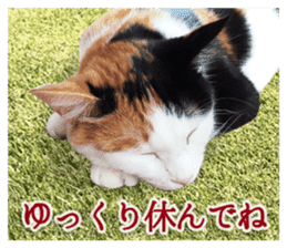 TSUKUNE the Calico Cat and Pencoro sticker #13773068