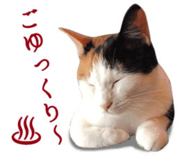 TSUKUNE the Calico Cat and Pencoro sticker #13773074