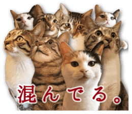 TSUKUNE the Calico Cat and Pencoro sticker #13773075