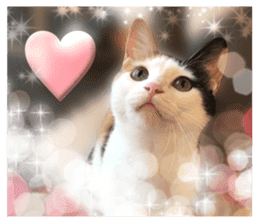 TSUKUNE the Calico Cat and Pencoro sticker #13773077