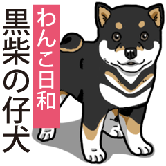Wanko-Biyori Puppy of Black Shiba Inu