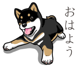 Wanko-Biyori Puppy of Black Shiba Inu sticker #13773318
