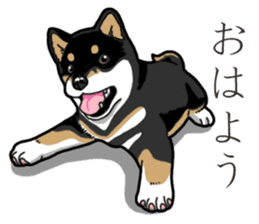Wanko-Biyori Puppy of Black Shiba Inu sticker #13773318