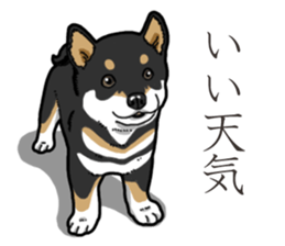 Wanko-Biyori Puppy of Black Shiba Inu sticker #13773319