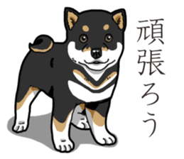 Wanko-Biyori Puppy of Black Shiba Inu sticker #13773320