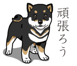 Wanko-Biyori Puppy of Black Shiba Inu sticker #13773320