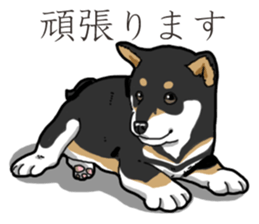 Wanko-Biyori Puppy of Black Shiba Inu sticker #13773321