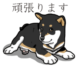 Wanko-Biyori Puppy of Black Shiba Inu sticker #13773321