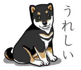 Wanko-Biyori Puppy of Black Shiba Inu sticker #13773322